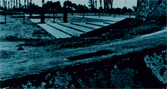 Il monumento di Auschwitz-Birkenau
